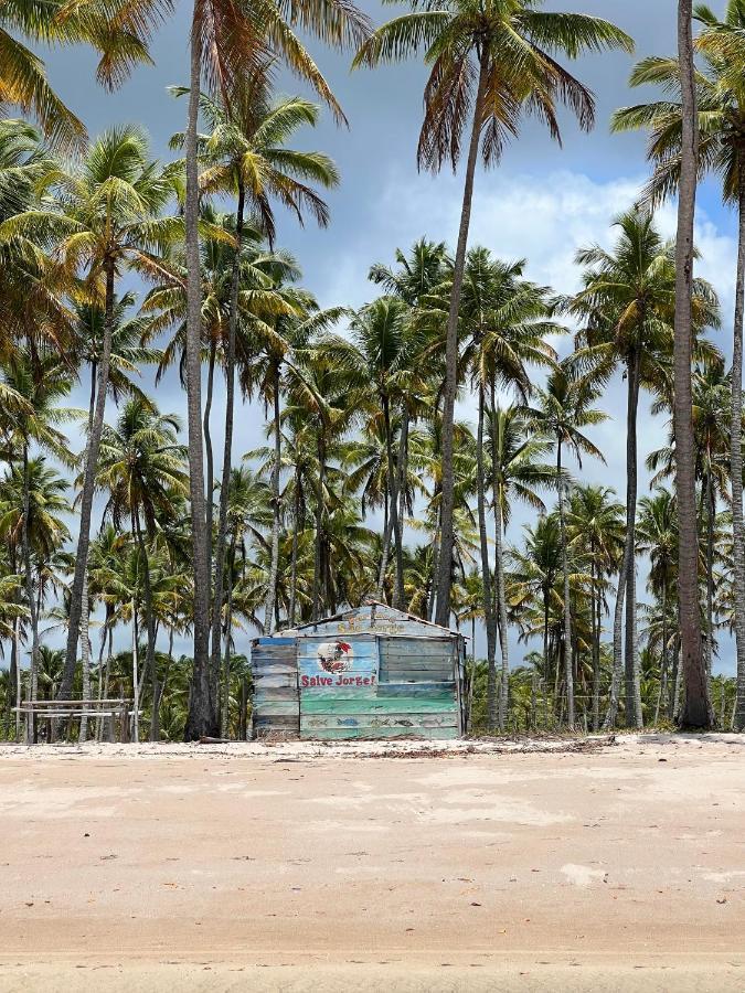 Pousada Mare Alta Em Boipeba Velha Boipeba Ngoại thất bức ảnh